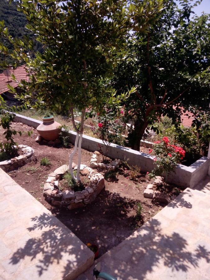 Dimitra'S Garden Villa Kallirákhi エクステリア 写真