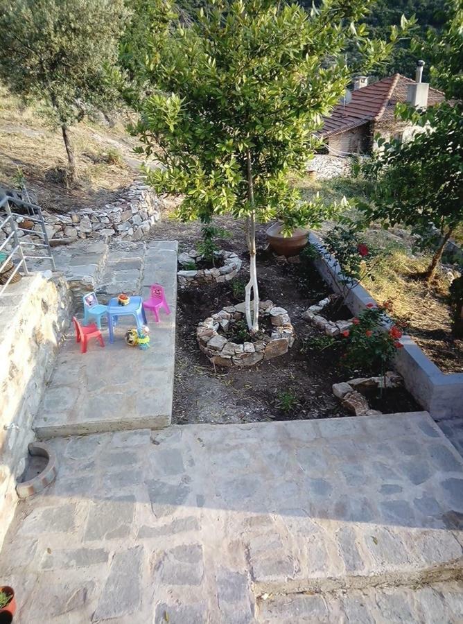 Dimitra'S Garden Villa Kallirákhi エクステリア 写真