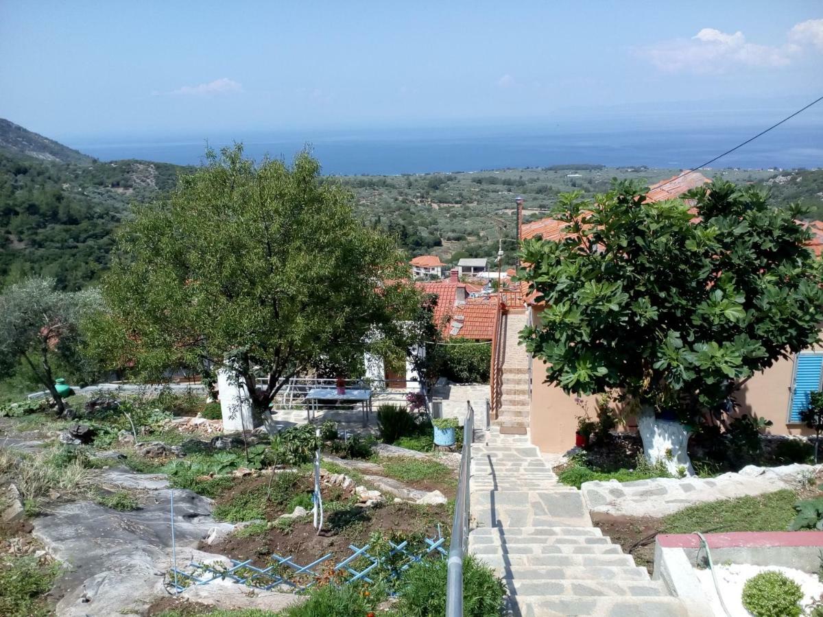 Dimitra'S Garden Villa Kallirákhi エクステリア 写真