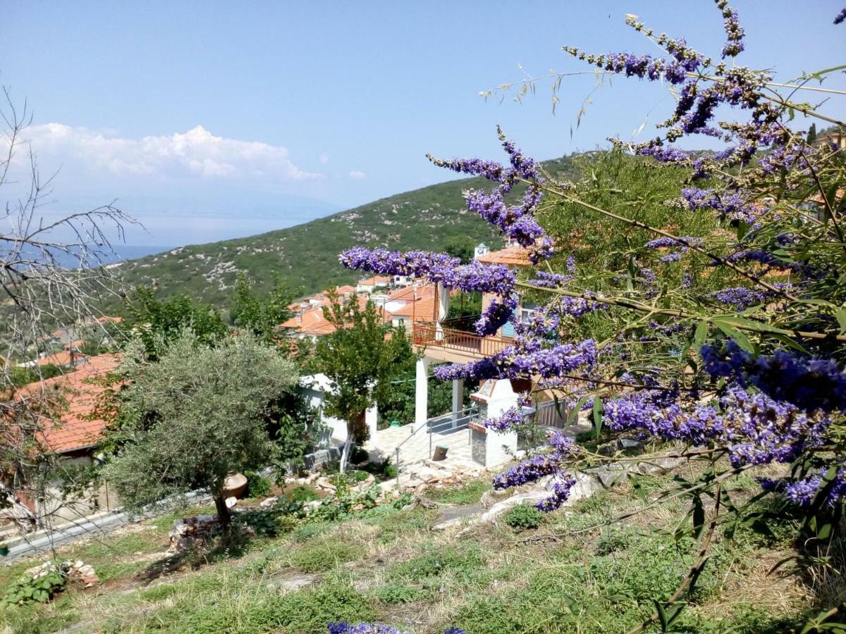 Dimitra'S Garden Villa Kallirákhi エクステリア 写真