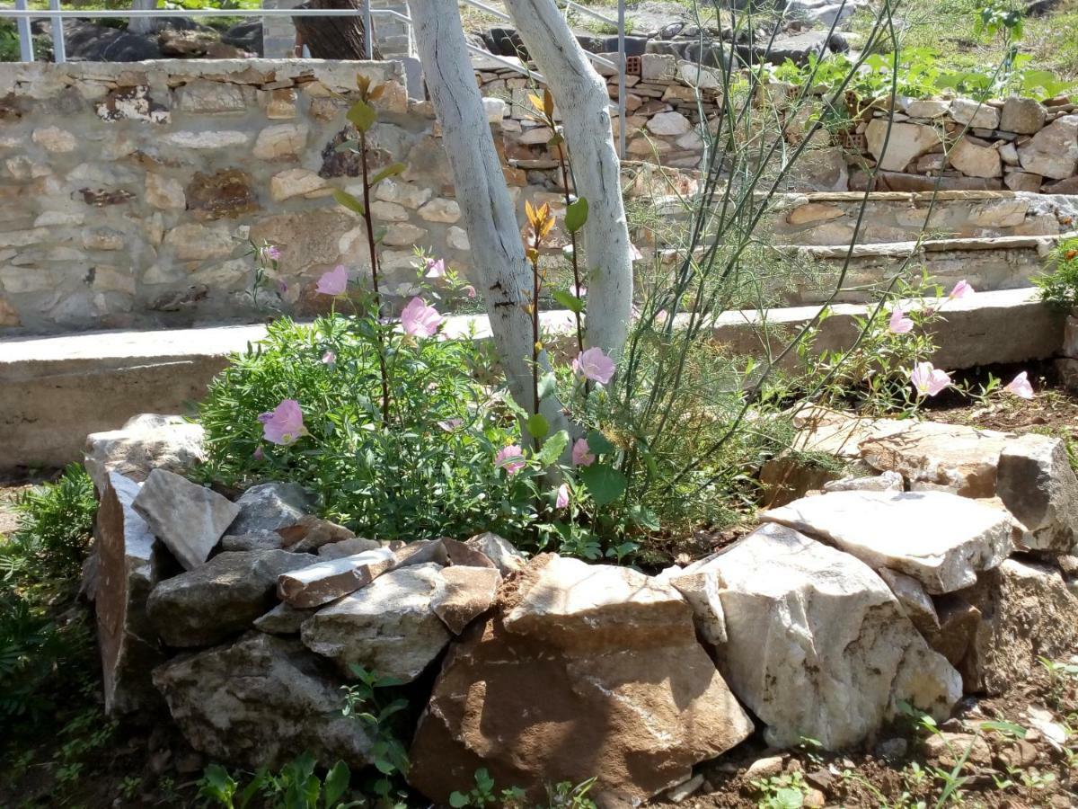 Dimitra'S Garden Villa Kallirákhi エクステリア 写真